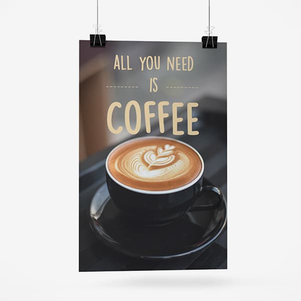 Display Boards